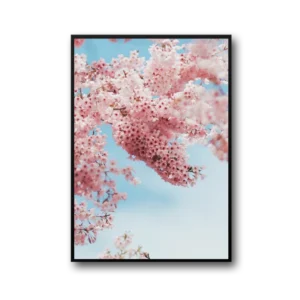 Peach Frame